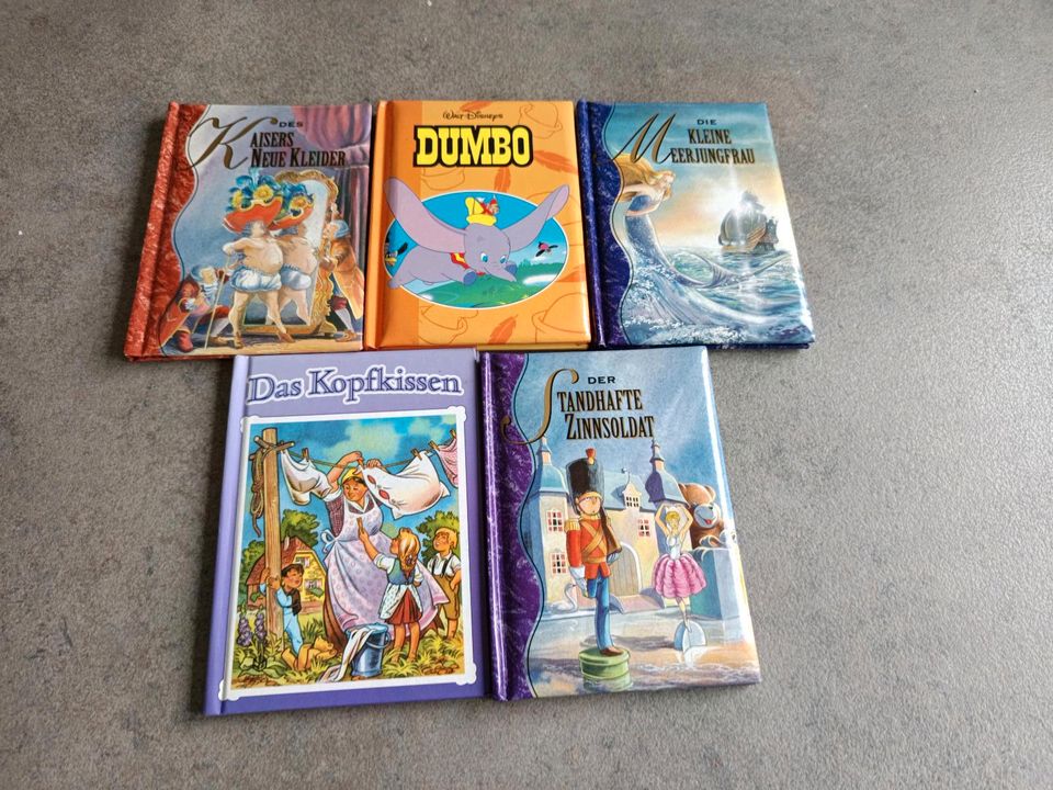 5 kleine Kinderbücher in Ortenberg
