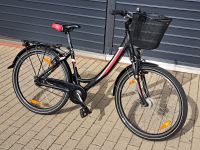 Pegasus Avanti Jugend Mädchen Fahrrad, 7-Gang, RH44, 26 Zoll Bayern - Legau Vorschau