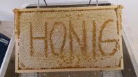 Honig aus privater Hobbyimkerei Nordrhein-Westfalen - Hemer Vorschau