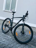 Bike Specialized 29Zoll XXL Rahmen ✅NEUE✅ Bayern - Otzing Vorschau