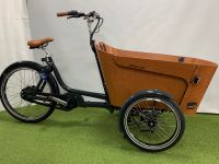 E-Lastenrad Babboe Carve Mountain Akku 500Wh Nordrhein-Westfalen - Greven Vorschau