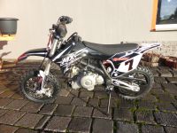 Speedex MX 50 4T Kindermotorrad Cross Mini Dirtbike ab 5 Jahre Sachsen-Anhalt - Halle Vorschau