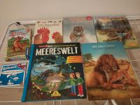 Kinderbücher+ Memory Dinosaurier zusammen für. 5€ Sachsen-Anhalt - Aschersleben Vorschau