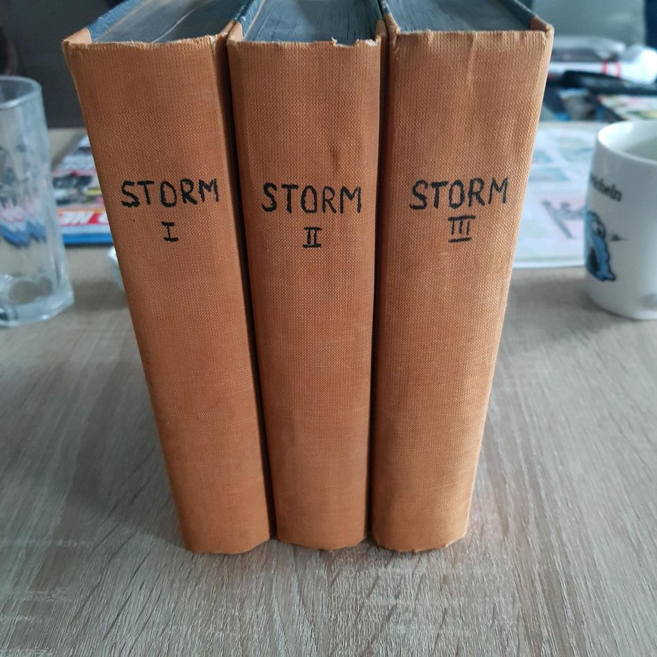 Theodor Storm Sämtliche Werke Neue Ausgabe in drei Bänden in Bremen