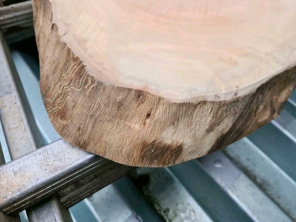 Holz Scheiben für Epoxidharz in Mietingen