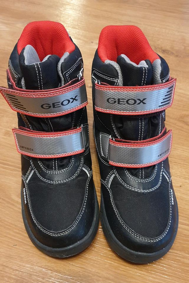 Winterstiefel Blinkies SVEGGEN AMPHIBIOX Geox Gr. 34 *NEU* in Krefeld