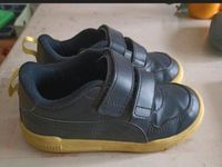 Puma Sneaker / Halbschuhe mit Klett gr 27 Brandenburg - Großbeeren Vorschau