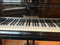 Bösendorfer Flügel Cites vorhanden München - Schwabing-Freimann Vorschau