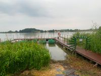 Gesucht: Bungalow Garten Grundstück am Röggeliner See Mecklenburg-Vorpommern - Carlow Vorschau