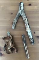 Versch. Vogel Sitzstangen Holz Baumrinde Knabberstangen Hannover - Vahrenwald-List Vorschau