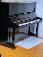 Hyundai Konzert klavier 132 schwarz poliert Schleswig-Holstein - Ahrensburg Vorschau