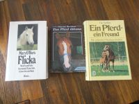 Pferdebücher Flicka Trilogie, Gitana, Ein Pferd ein Freund Baden-Württemberg - Laichingen Vorschau