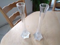 Omas schmaleRosen Glas Vasen Höhe 35 cm, Stück 3,50 zus. 5,50 €! Bayern - Elsenfeld Vorschau