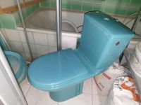 WC Toilette blau grün Sachsen - Niederwiesa Vorschau
