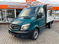 Mercedes-Benz Sprinter 313 CDI Pritsche*L1*1.Hand*StHz* Brandenburg - Brandenburg an der Havel Vorschau