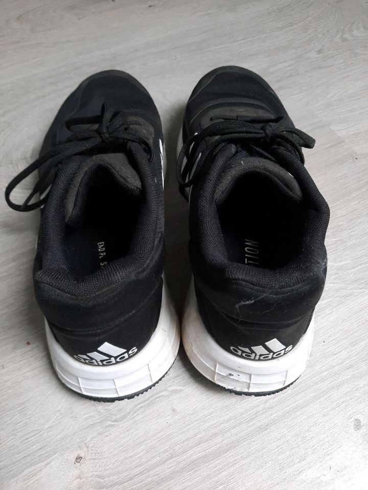 Turnschuhe Adidas Grösse 41,5 in Marschacht