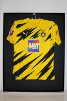 Borussia Dortmund BVB Sondertrikot Vielfalt Regenbogen Gr. M Bayern - Pfaffenhofen a.d. Ilm Vorschau