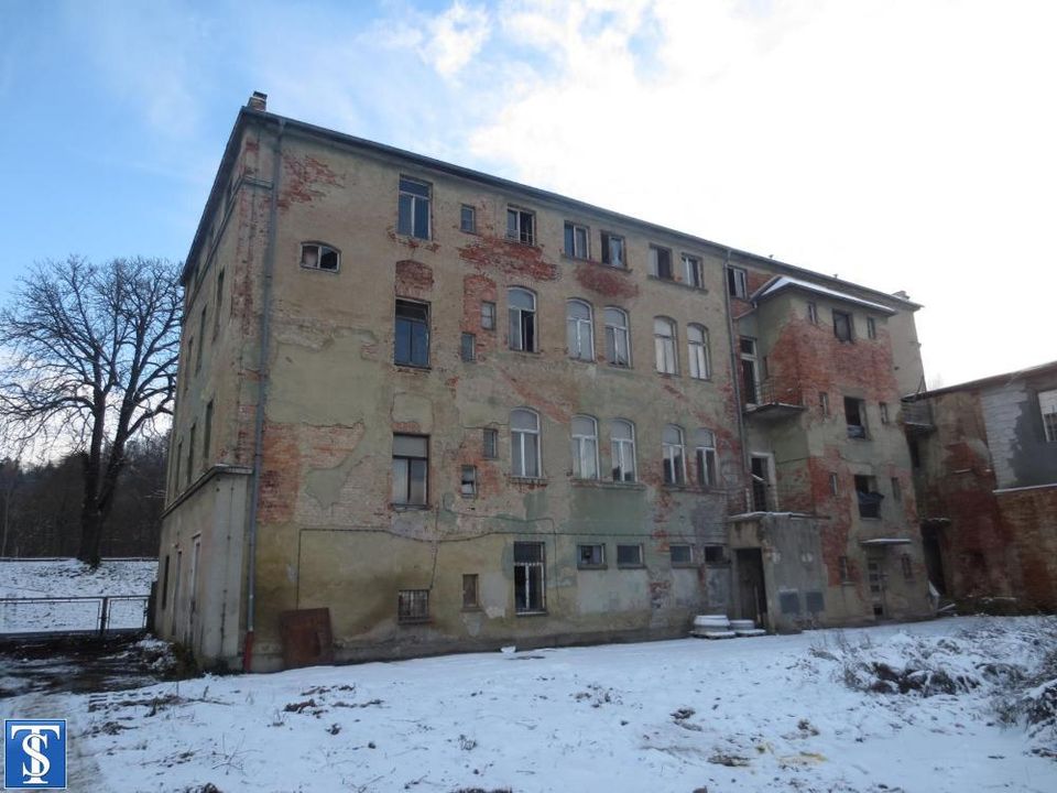 Fabrikgebäude wartet auf Sanierung - ideal als Bürogebäude / Pflegeheim / WGH - in Berga-Elster Landkreis Greiz in Berga/Elster