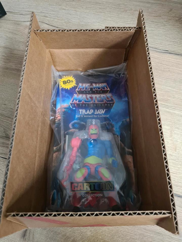 Masters of the Universe Cartoon Collection Trap Jaw & Evil-Lyn in Rheda-Wiedenbrück