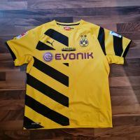 BVB Trikot Dortmund Reus XL Puma Derby CL Baden-Württemberg - Rheinfelden (Baden) Vorschau