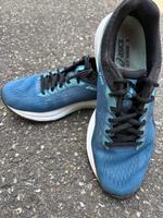 Asics GT-1000 Baden-Württemberg - Müllheim Vorschau