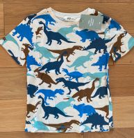 Dino T-Shirt H&M Baumwolle Neu OVP Gr 122 128 Dinosaurier Motiv Rheinland-Pfalz - Römerberg Vorschau