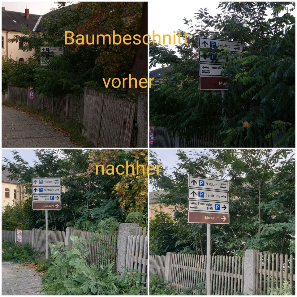 Grünpflege v. Dienstleistungen Großmann Hausmeister in Auerbach (Vogtland)