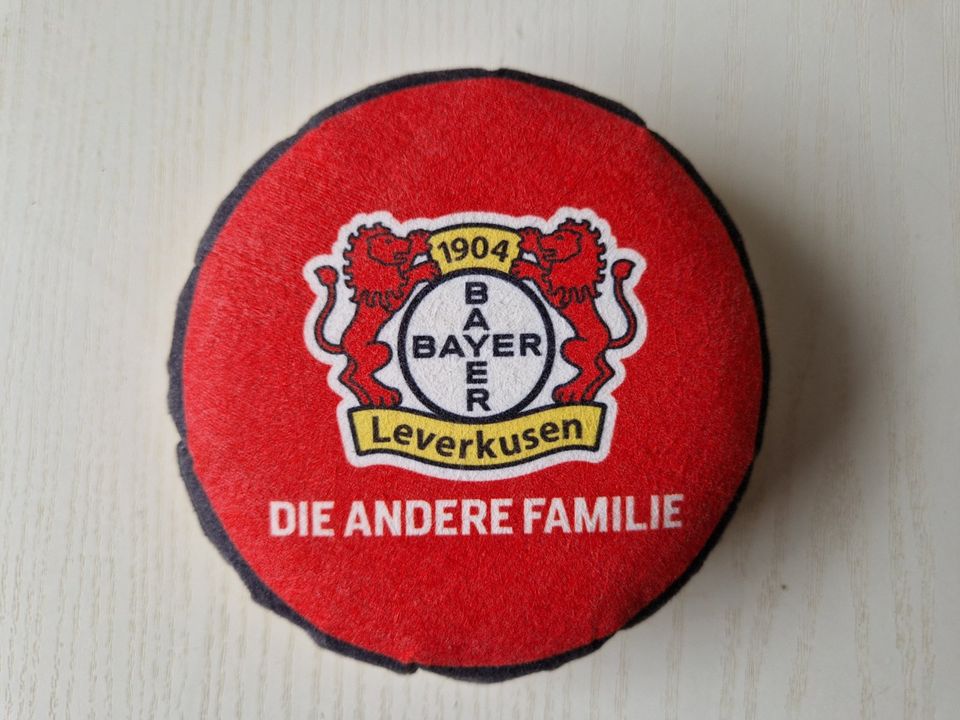 Bayer 04 Leverkusen CarKoser in Köln