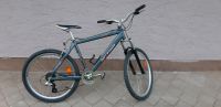 Mountainbike 26 Zoll Alu MTB Barracuda 26 Zoll Bayern - Barbing Vorschau