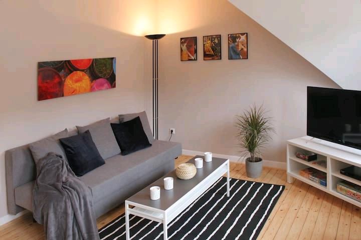 Rüttensch Altbau, 2.5 Raum, 55m² voll möbliert, alles inkl.1100,- in Essen