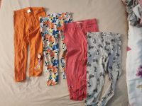 Leggings 98 Brandenburg - Ludwigsfelde Vorschau