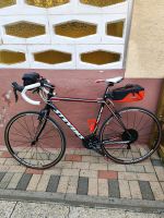 Rennrad, Stevens Prestige Syclocross Nordrhein-Westfalen - Detmold Vorschau