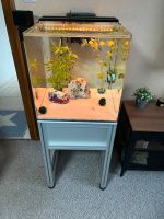 Aquarium Cube Würfel Amtra 90L mit Zubehör Nordrhein-Westfalen - Heimbach Vorschau