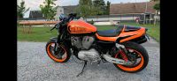 Harley Davidson XR 1200 Brandenburg - Strausberg Vorschau
