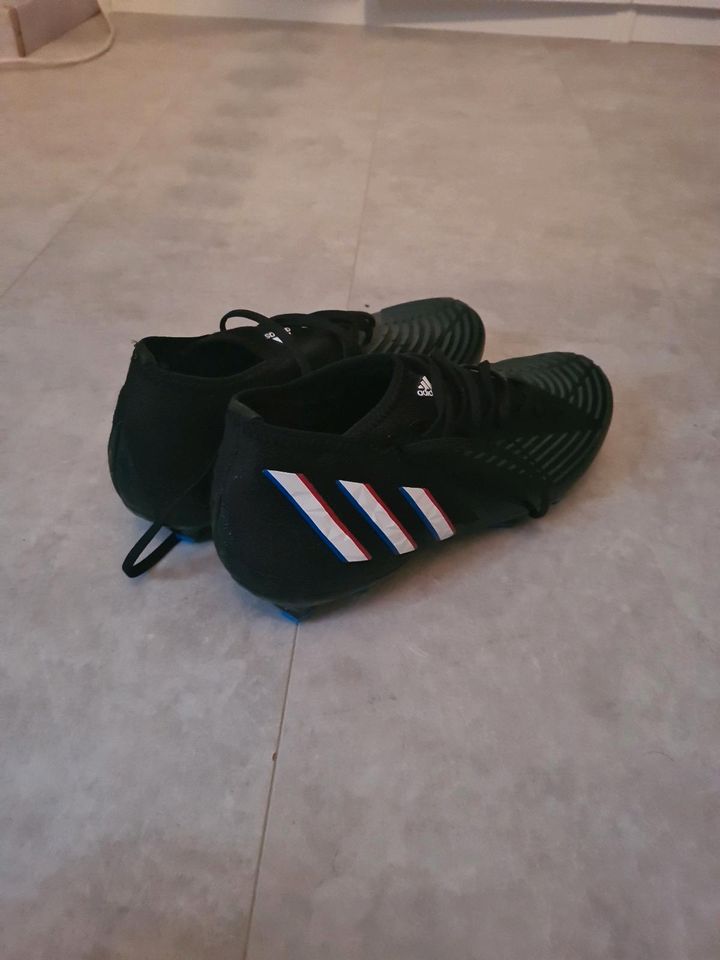 Adidas predator in Köln