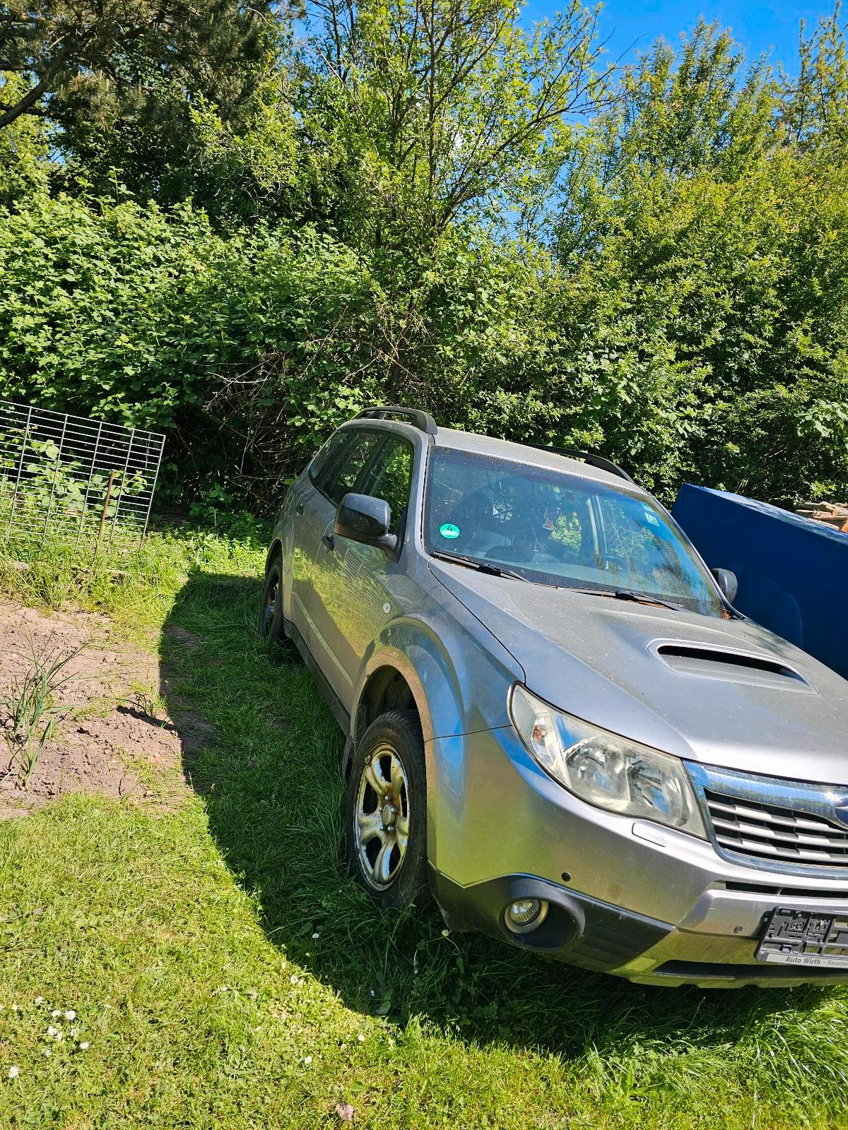 Abbildung des Autos subaru forester