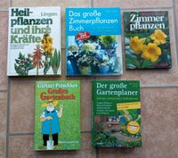 Bücher Pflanzen Garten Bayern - Oettingen in Bayern Vorschau