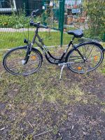 Damenfahrrad Sachsen-Anhalt - Bernburg (Saale) Vorschau