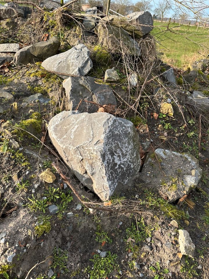 Felsen in grau und Sandsteine aus dem Schöppinger Berg-Garten ! in Metelen