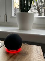 Echo Dot (4. Gen) neuwertig, anthrazit Friedrichshain-Kreuzberg - Friedrichshain Vorschau