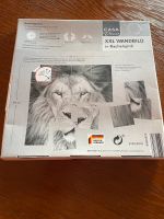 Löwe, Poster, Bild, wilde afrikanische Tiere Rheinland-Pfalz - Weinolsheim Vorschau