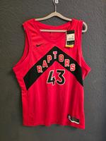 Nike Basketball Trikot (Jersey) Toronto Raptors Siakam XXL Hessen - Kelkheim Vorschau