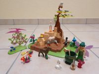 Playmobil Zaubertrankfee Elixia im Tierwäldchen 5447 Fee Bayern - Aschaffenburg Vorschau