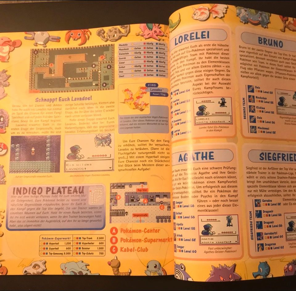 Nintendo Game Boy Pokémon Blau + Spieleberater Pokemon Gameboy in Essen-West