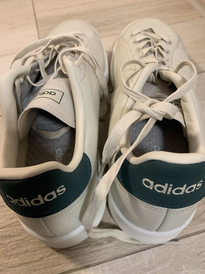 Adidas Schuhe Größe 46 in Köln