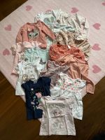 Oberteile Shirts H&M Paket Pusblu 98-104 Mädchen Elsa Bayern - Kipfenberg Vorschau