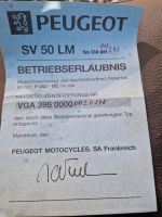 Peugeot Executive SV 50 Defekt!!! Bayern - Dillingen (Donau) Vorschau