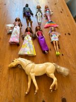 Barbie Puppen und Pferd Bochum - Bochum-Nord Vorschau