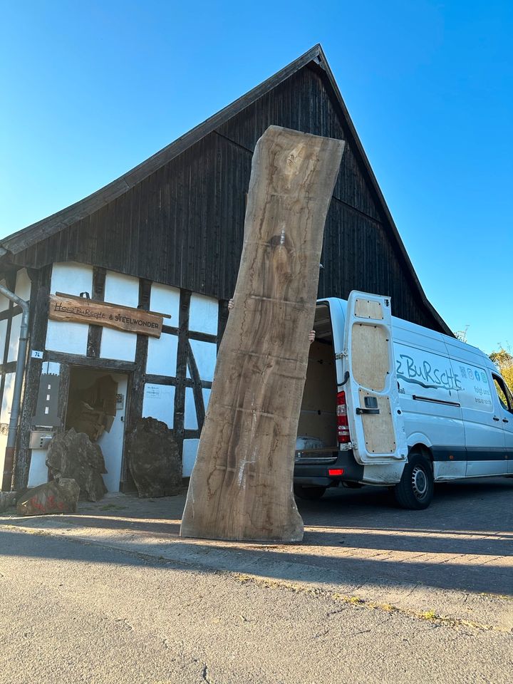 Schreibtisch Büro Bürotisch Tisch Holztisch Baumtisch Massivholz in Bielefeld