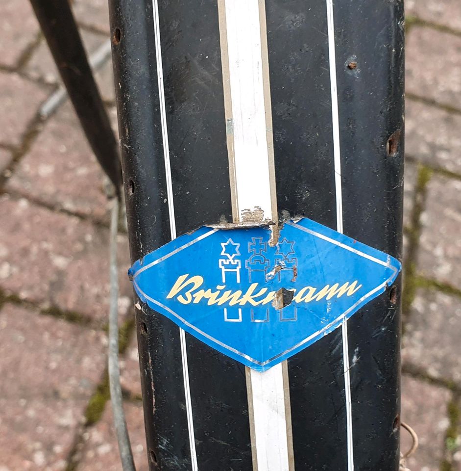 Oldtimer Damenfahrrad, 28 Zoll ohne Schaltung m Rücktrittbremse in Selent